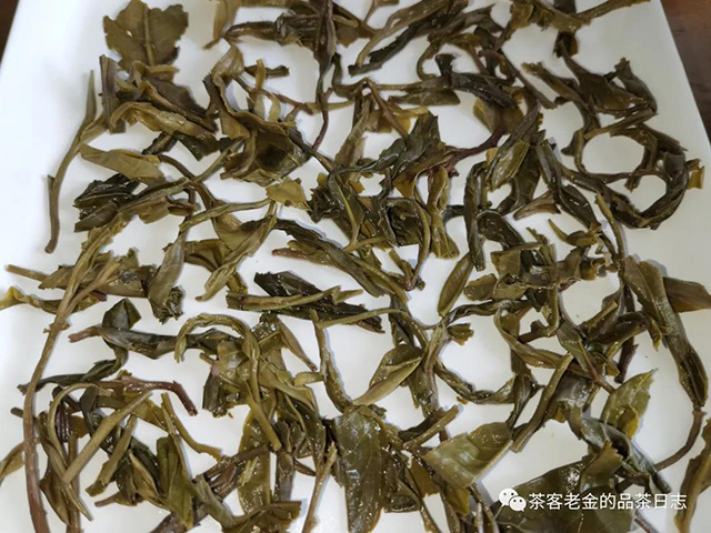 彤掌柜2021年虫吃茶普洱茶