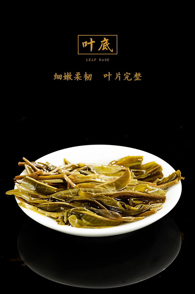 龙润茶大吉大利普洱茶