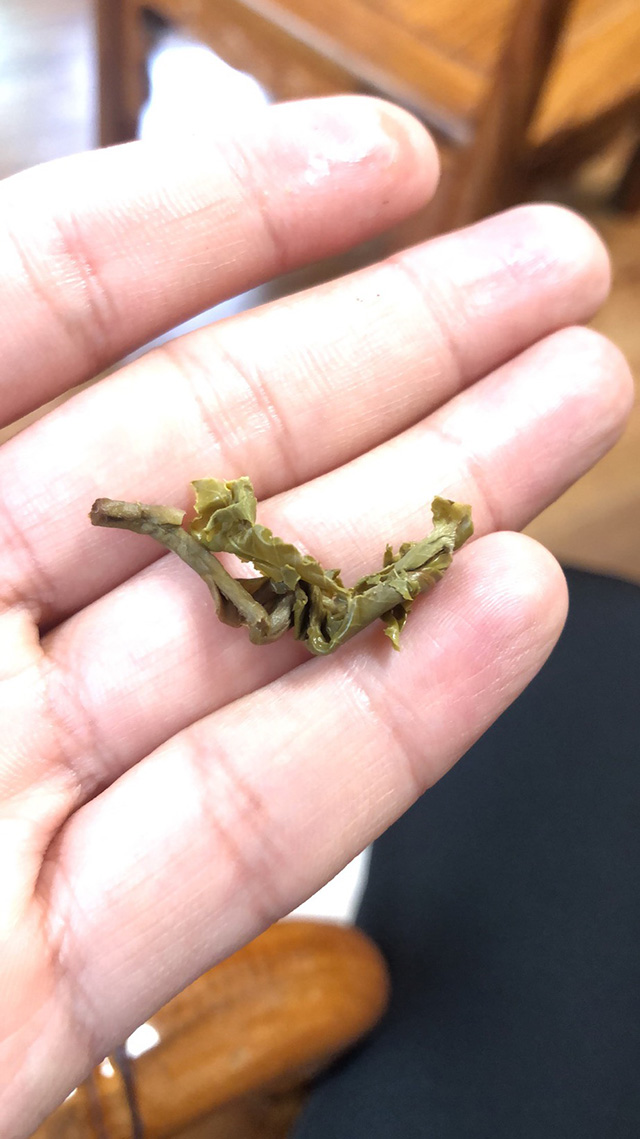 蓝版曼松王子山小饼茶底