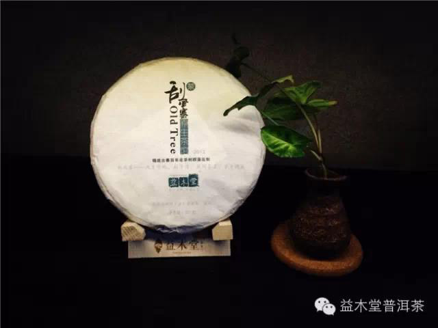 益木堂普洱茶讲堂