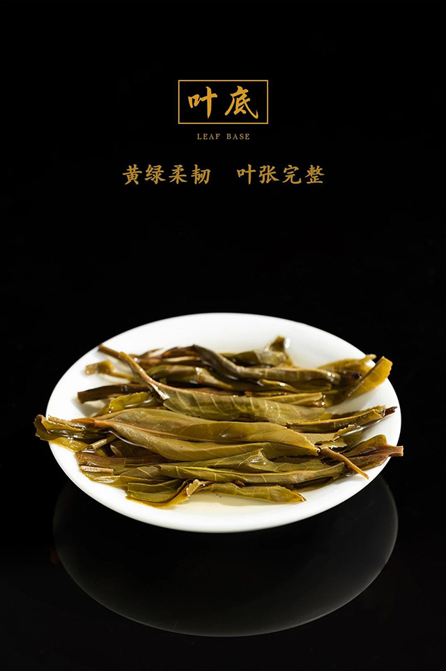 龙润茶楚兰