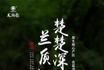2021龙润茶·楚兰：楚楚深林，兰质沁心