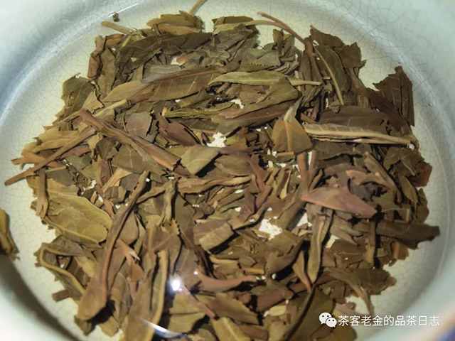 晓茶古六大茶山清凉境