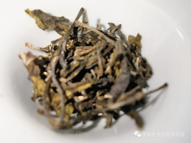 晓茶古六大茶山丰饶地