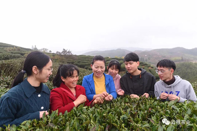 福建农林大学郭玉琼教授带领农林大研究生团队与茶农交流