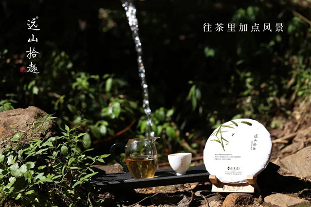 益木堂远山拾趣生茶