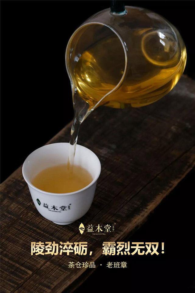 益木堂茶仓珍品老班章生茶