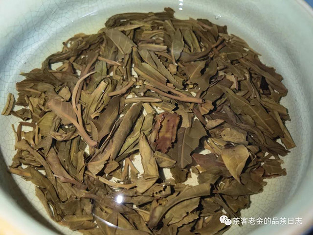 苦行茶僧第一代曼陀罗