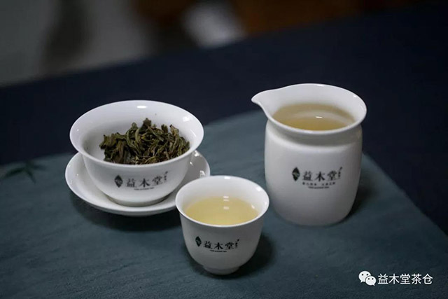 益木堂铜箐河普洱茶