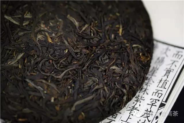 益木堂茶仓珍品紫曰普洱茶