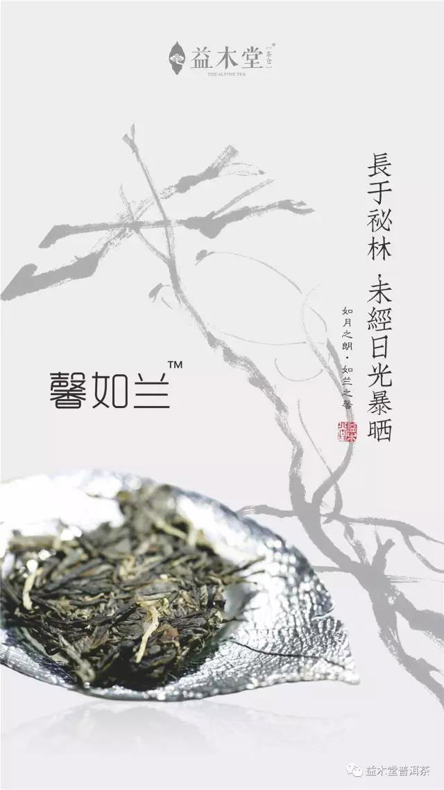 益木堂馨如兰普洱茶