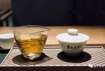 茶友心得：小品·千年古树「暖暖说茶」