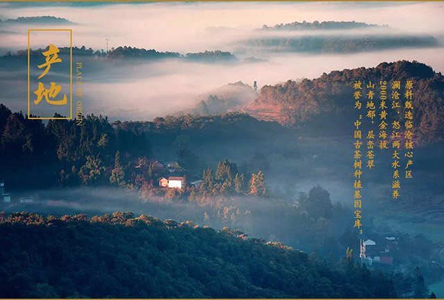云南龙润茶业