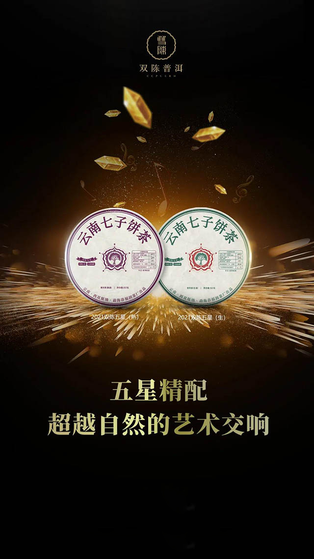 双陈五星普洱茶