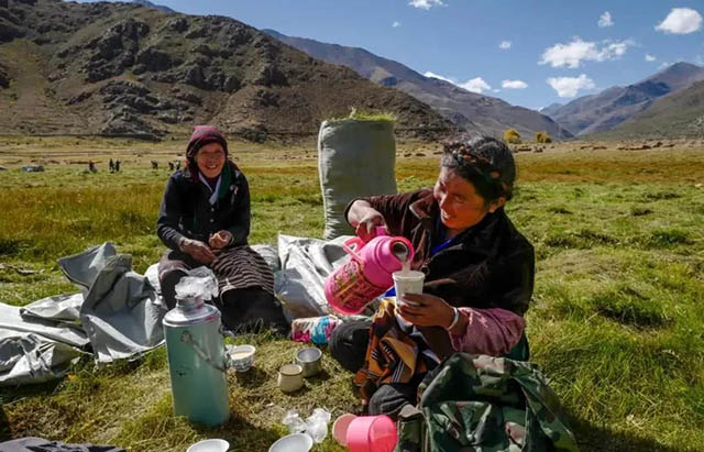 拉萨南巴村村民在收割草料间隙喝茶休息