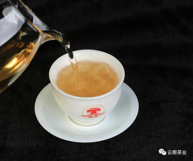 云根茶业高山赏月