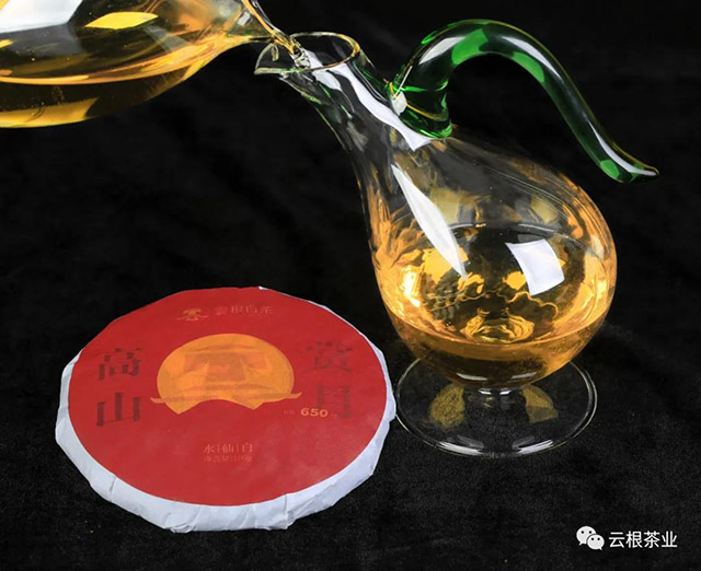 云根茶业高山赏月