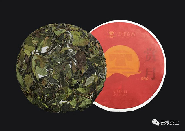 云根茶业高山赏月