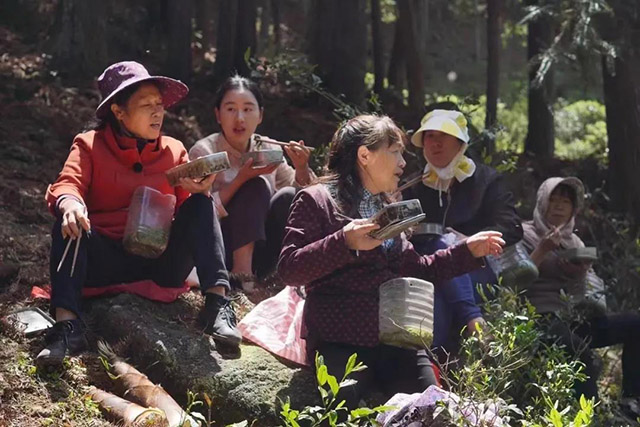 福建武夷山网红乡愁