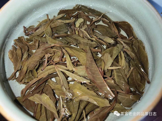 馨兰熙号百花潭普洱茶