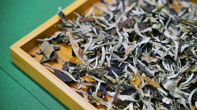 六大茶山俊昌窖藏十二年月光白