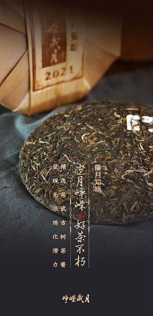 岁月知味峥嵘岁月普洱茶生茶