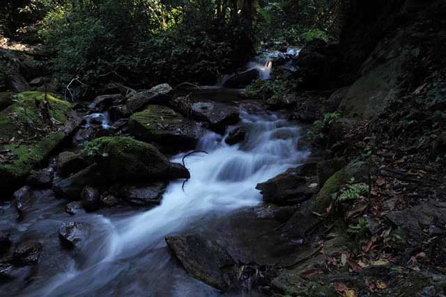 岁月知味原野香带核心产区同庆河