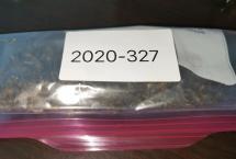 茶客老金的品茶日志：2020年曼松327（则道）