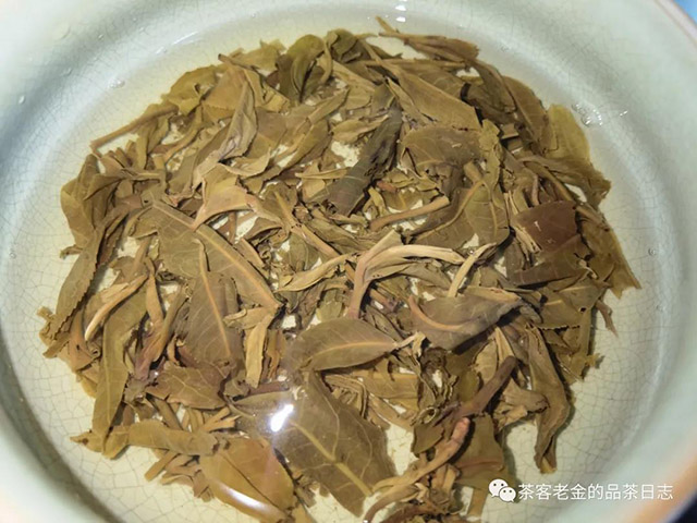 苦行茶僧曼松普洱茶