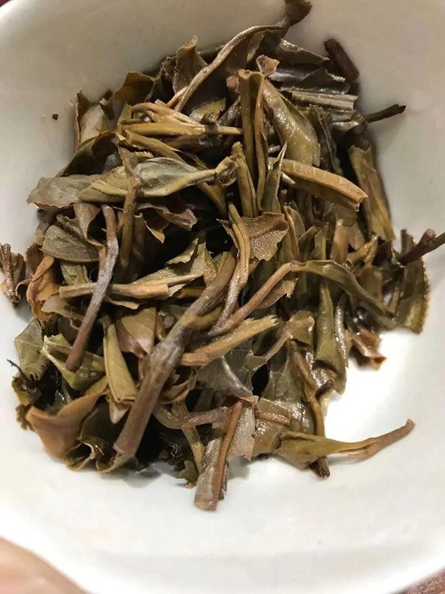 雨林古茶2015年老班章