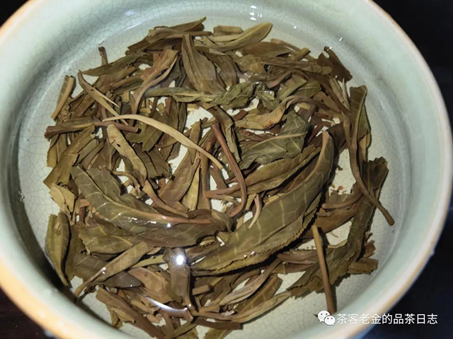 馨兰熙号参天高杆普洱茶