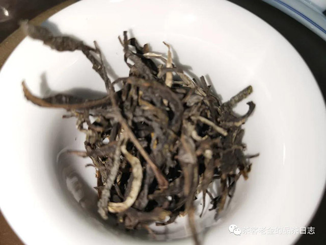 馨兰熙号参天高杆普洱茶