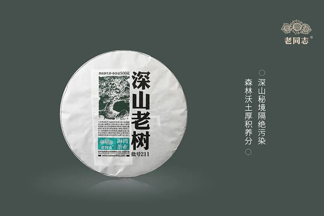 老同志2021年深山老树生饼