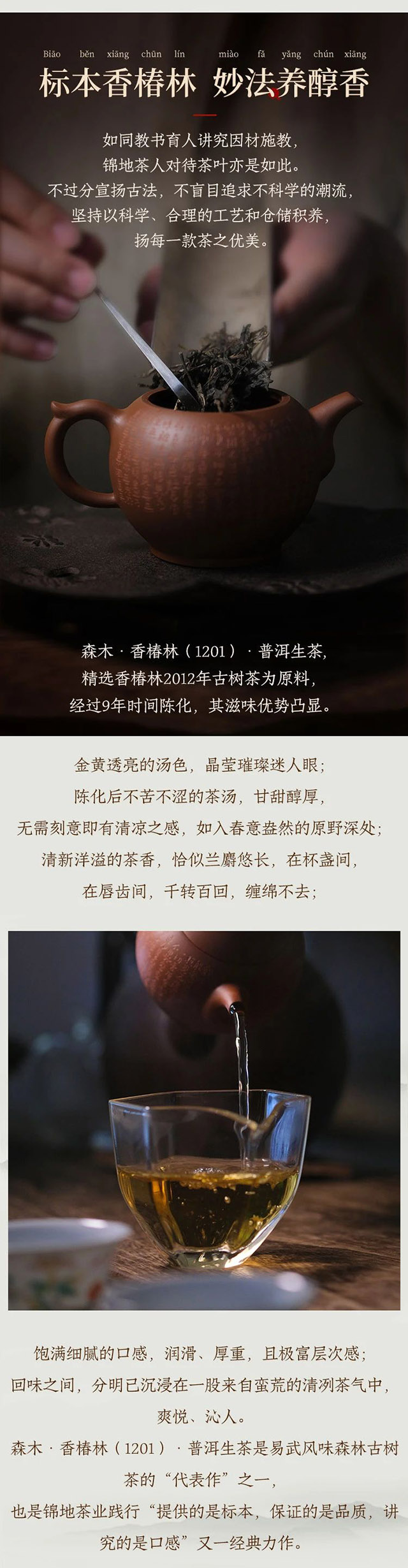 锦地茶业2012森木香椿林