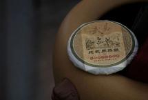 锦地茶业森木香椿林×2012：隐逸百年的幽香