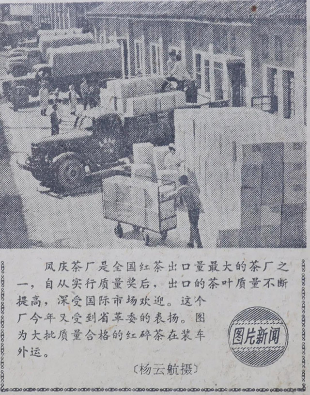 云南日报1979年报道