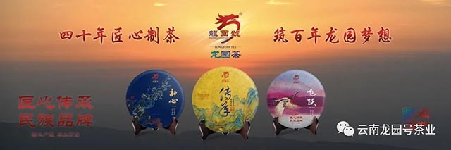 云南省档案馆品牌普洱茶建档产品