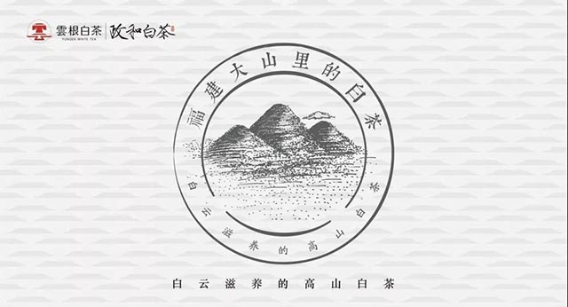 云根白茶手绘图标