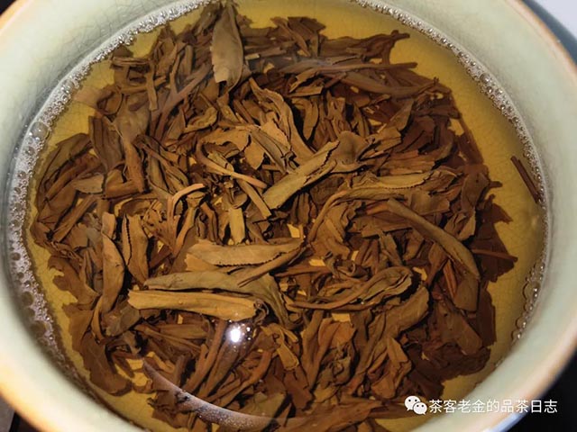 斗记斗记巅峰之斗普洱茶