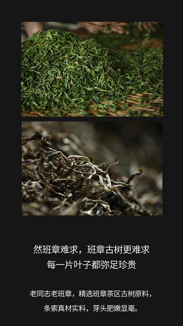 老同志老班章普洱茶