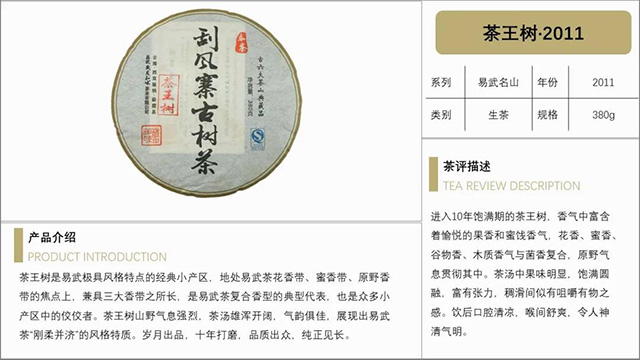 岁月知味易武名山茶茶王树
