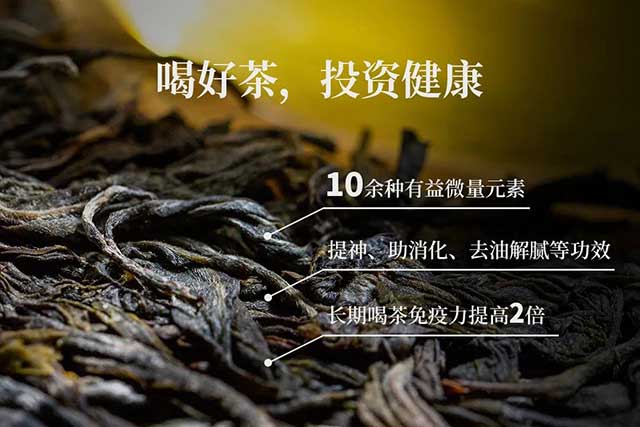 津乔普洱茶