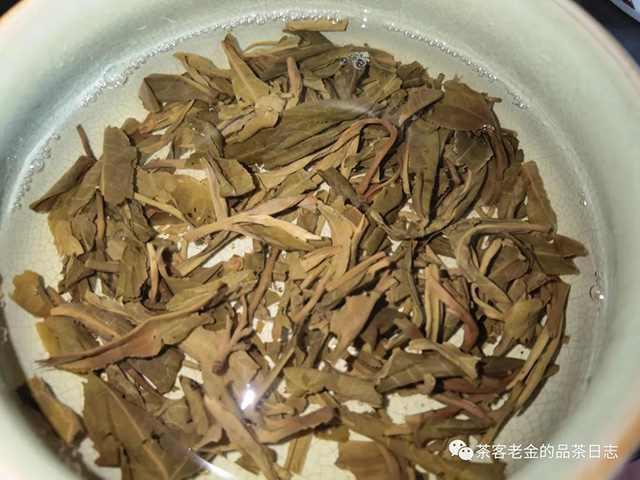 馨兰熙号曼松贡茶