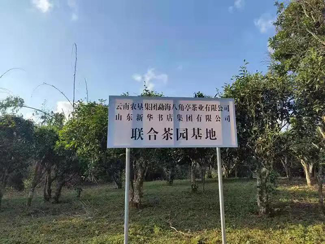 云南农垦集团勐海八角亭茶业