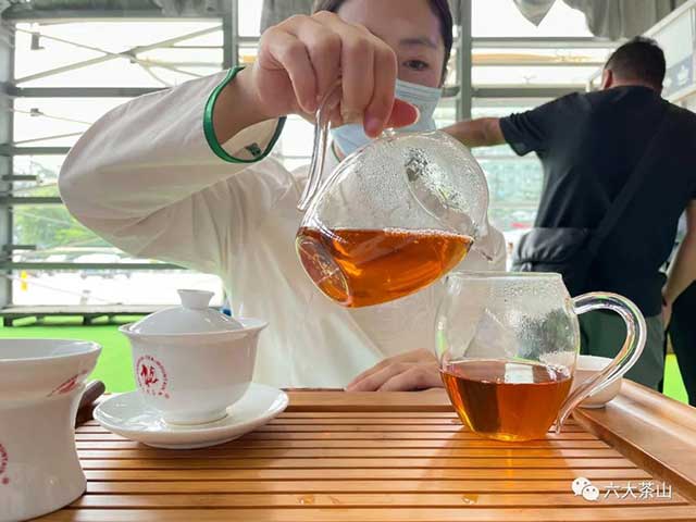 年份普洱茶现场品鉴