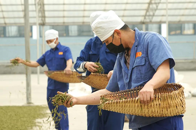 勐库戎氏秋实节