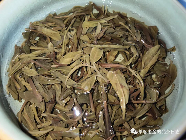 佤山茶人古纯一号普洱茶