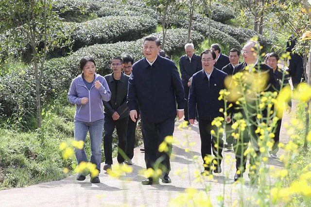 首届中国武夷红茶国际交流会