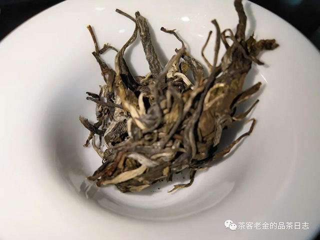 天顺号老班章茶王树