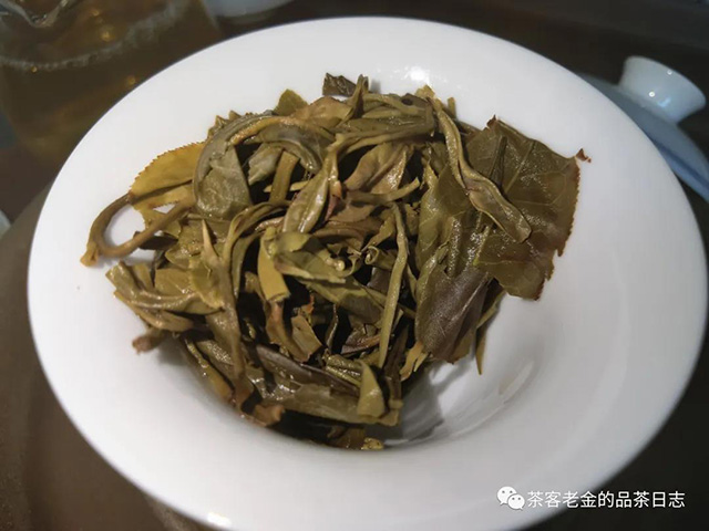 天顺号老班章茶王树